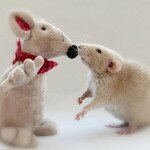 Как сделать игрушку для крысы